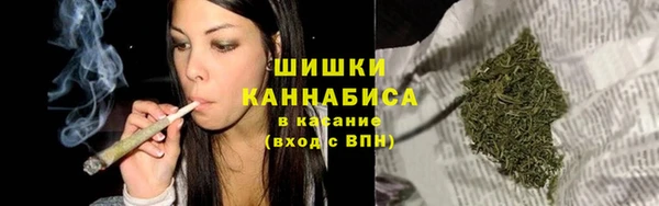 шишки Нея