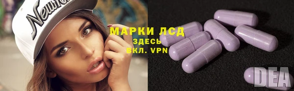 шишки Нея