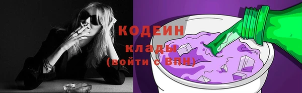 шишки Нея