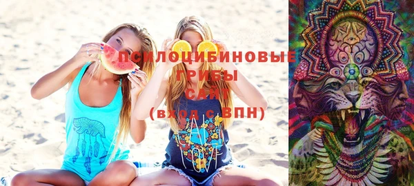 шишки Нея