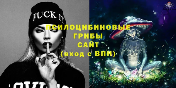 шишки Нея