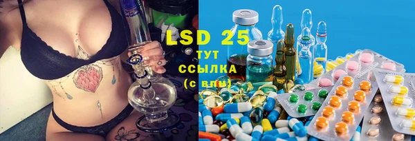 шишки Нея