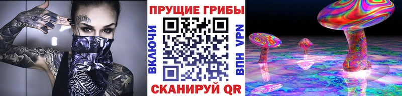 Купить где Данков Псилоцибиновые грибы Magic Shrooms